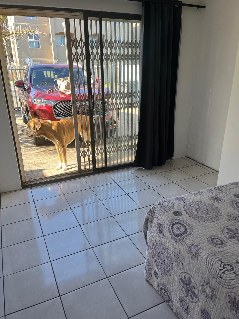 48 Monte Carlo Kraaifontein - Image 41